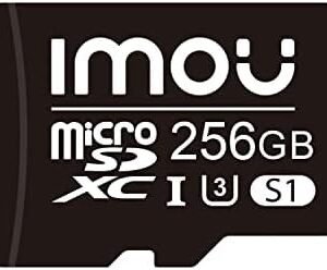 256GB MicroSD