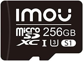 256GB MicroSD