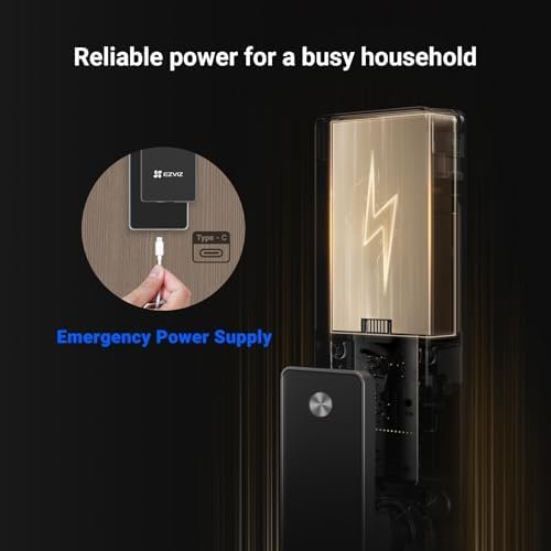DL50FVS Face Recognition Smart Lock