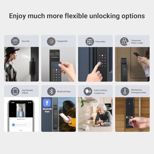DL50FVS Face Recognition Smart Lock